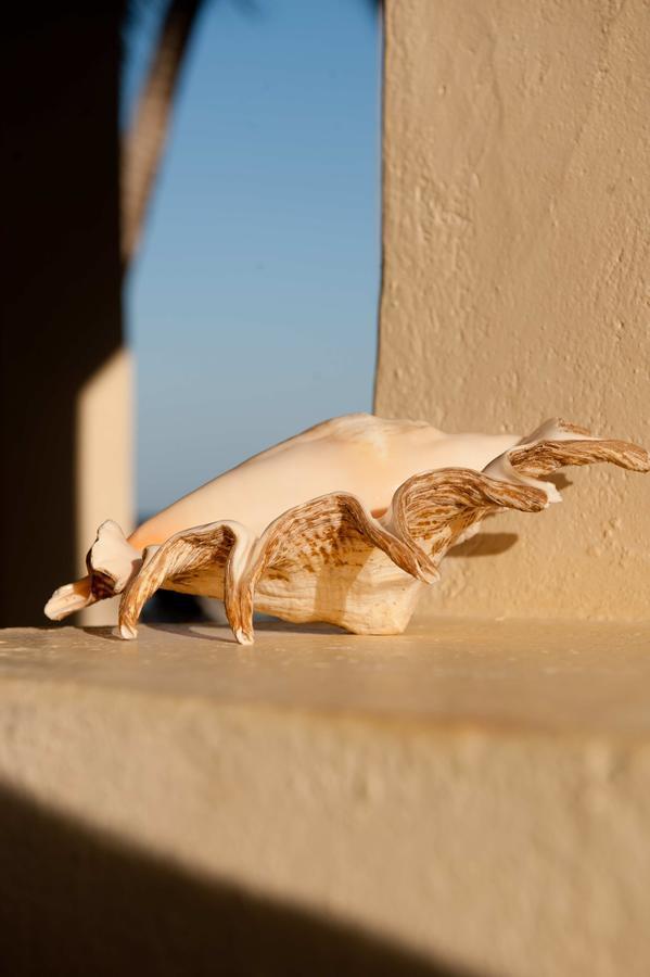Sawa Sawa Beach House Msambweni 외부 사진